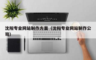 义乌沈阳专业网站制作方案（沈阳专业网站制作公司）